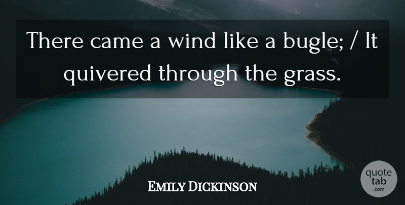 Emily Dickinson Quote About Came, Wind: There Came A Wind Like...