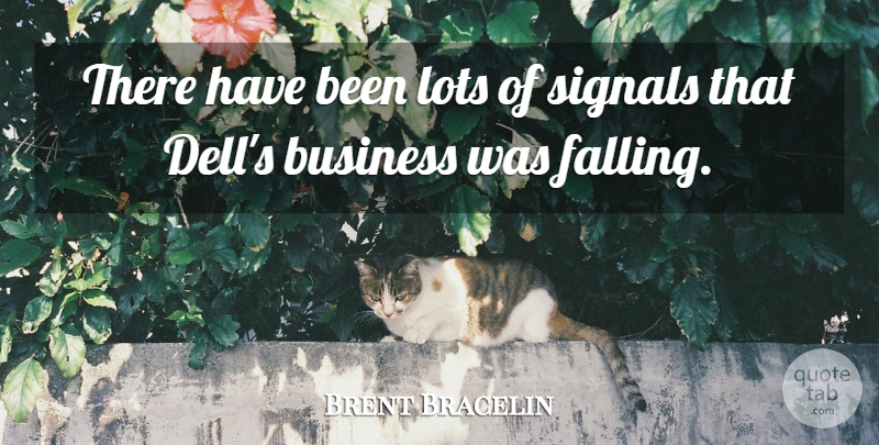 Brent Bracelin Quote About Business, Lots, Signals: There Have Been Lots Of...