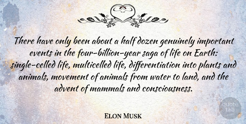 Elon Musk Quote About Animal, Years, Land: There Have Only Been About...