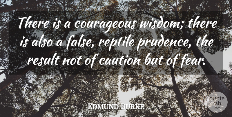 Edmund Burke Quote About Fear, Reptiles, Courageous: There Is A Courageous Wisdom...