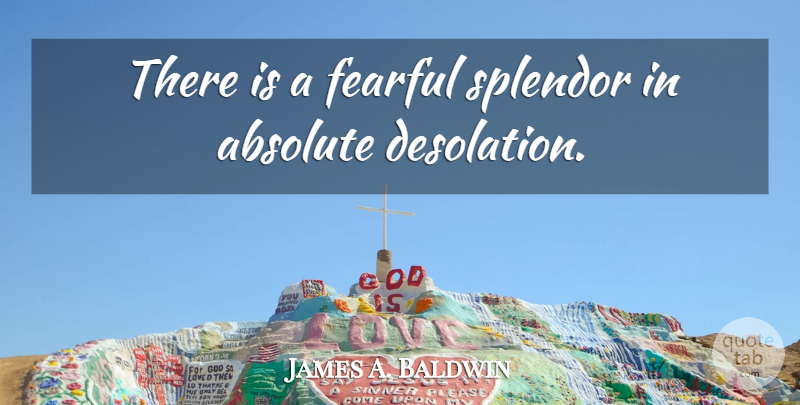 James A. Baldwin Quote About Splendor, Desolation, Fearful: There Is A Fearful Splendor...