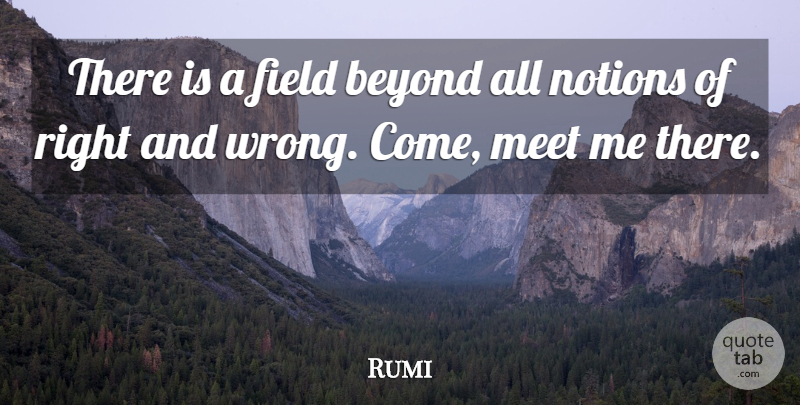 Rumi Quote About Love, Life, Fields: There Is A Field Beyond...