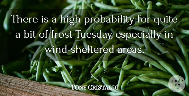Tony Cristaldi Quote About Bit, Frost, High, Quite: There Is A High Probability...