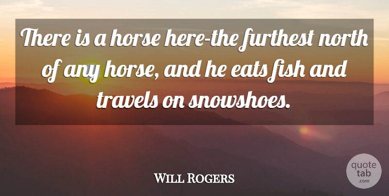 Will Rogers Quote About Horse, Fishes: There Is A Horse Here...
