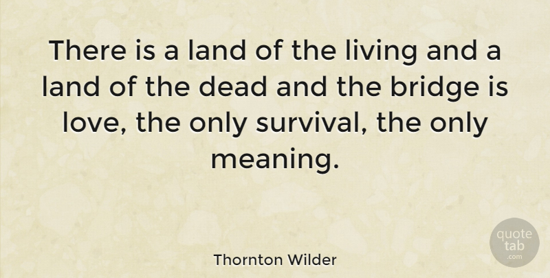 Thornton Wilder Quote About Love, Life, Fun: There Is A Land Of...