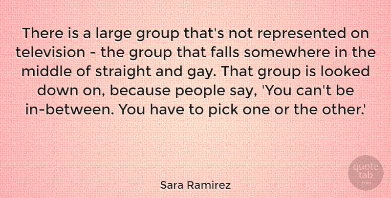 Sara Ramirez Quote About Falls, Large, Looked, Middle, People: There Is A Large Group...