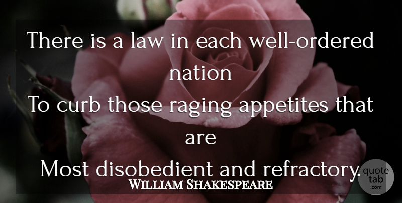 William Shakespeare Quote About Law, Politics, Rage: There Is A Law In...