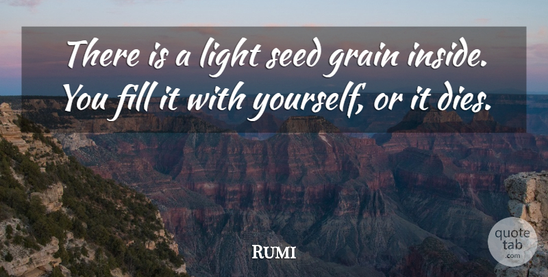Rumi Quote About Light, Conformity, Grain: There Is A Light Seed...