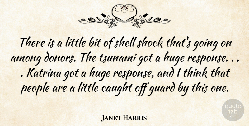 Janet Harris Quote About Among, Bit, Caught, Guard, Huge: There Is A Little Bit...
