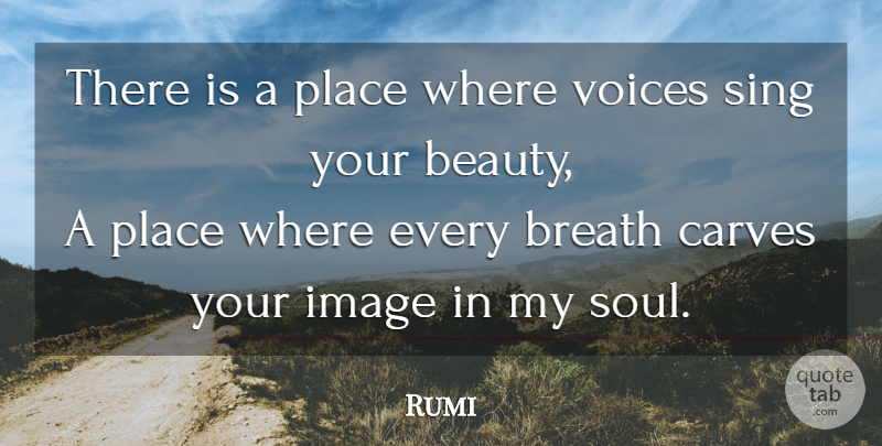 Rumi Quote About Wisdom, Voice, Soul: There Is A Place Where...