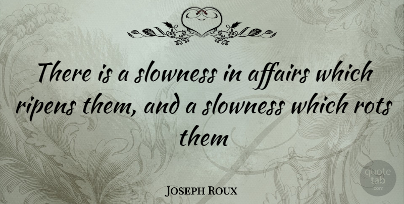 Joseph Roux Quote About Affairs, Ripens, Slowness: There Is A Slowness In...