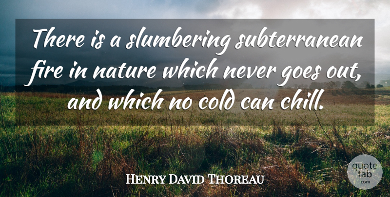 Henry David Thoreau Quote About Nature, Winter, Fire: There Is A Slumbering Subterranean...