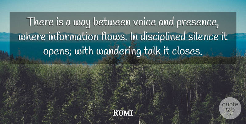 Rumi Quote About Information Flow, Voice, Silence: There Is A Way Between...