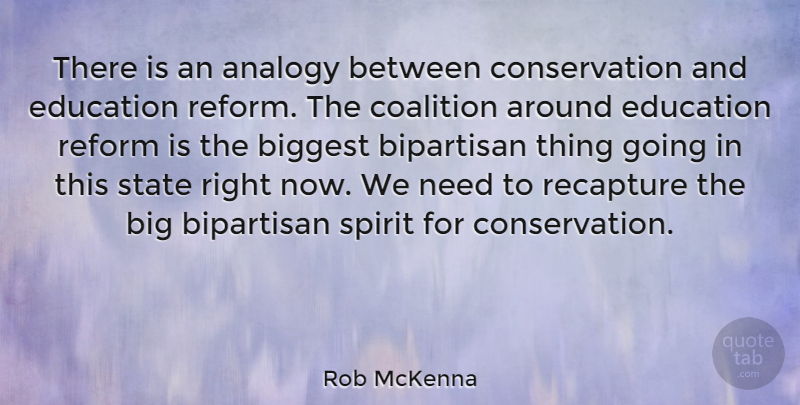 Rob McKenna Quote About Needs, Analogies, Reform: There Is An Analogy Between...