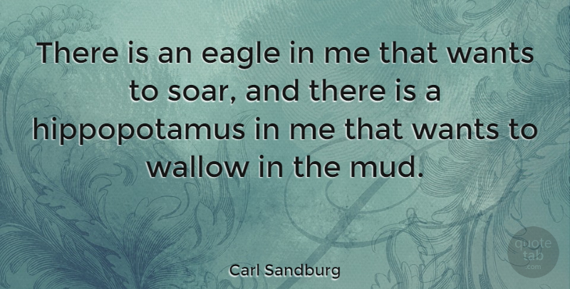 Carl Sandburg Quote About Eagles, Christian Inspirational, Literature: There Is An Eagle In...