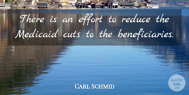 Carl Schmid Quote About Cuts, Effort, Reduce: There Is An Effort To...