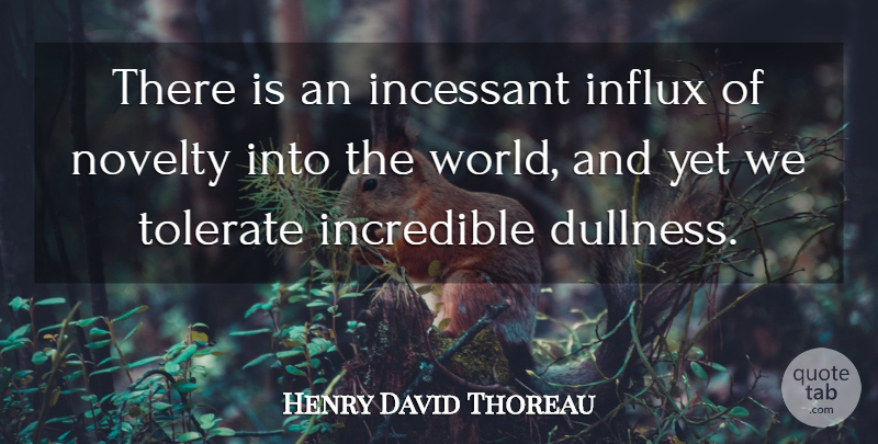Henry David Thoreau Quote About Creativity, World, Novelty: There Is An Incessant Influx...