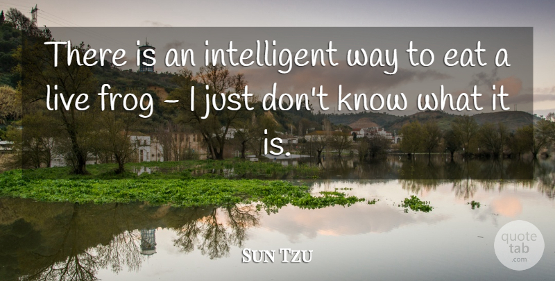 Sun Tzu Quote About Intelligent, Frogs, Way: There Is An Intelligent Way...