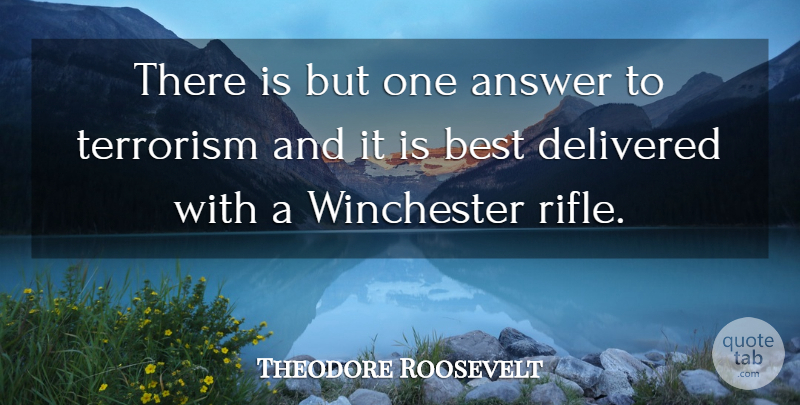Theodore Roosevelt Quote About Answers, Rifles, Terrorism: There Is But One Answer...