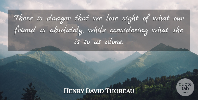 Henry David Thoreau Quote About Friends, Sight, Sky: There Is Danger That We...