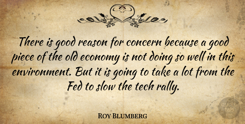 Roy Blumberg Quote About Concern, Economy, Fed, Good, Piece: There Is Good Reason For...