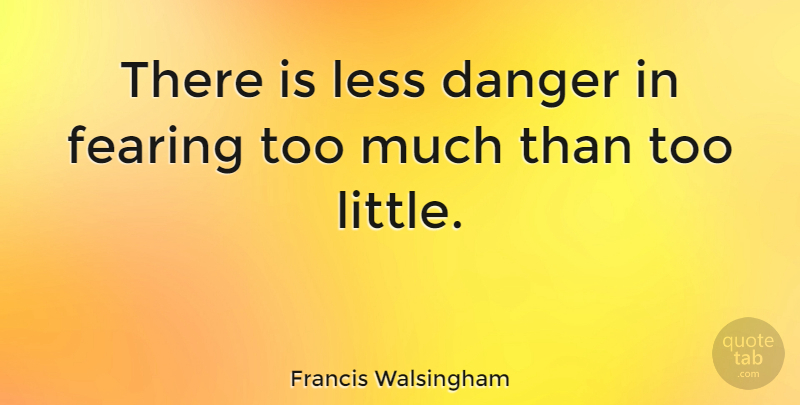 Francis Walsingham Quote About Too Much, Littles, Danger: There Is Less Danger In...