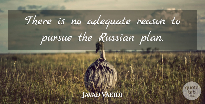 Javad Vaeidi Quote About Adequate, Pursue, Reason, Russian: There Is No Adequate Reason...