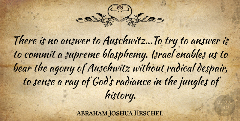 Abraham Joshua Heschel Quote About Israel, Agony, Holocaust: There Is No Answer To...