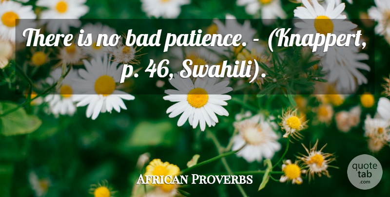 African Proverbs Quote About Bad, Proverbs: There Is No Bad Patience...