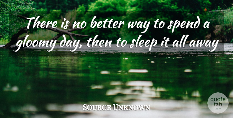 Source Unknown There Is No Better Way To Spend A Gloomy Day Then To Sleep Quotetab