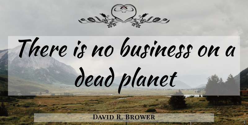 David R. Brower Quote About Business, Management, Economics: There Is No Business On...