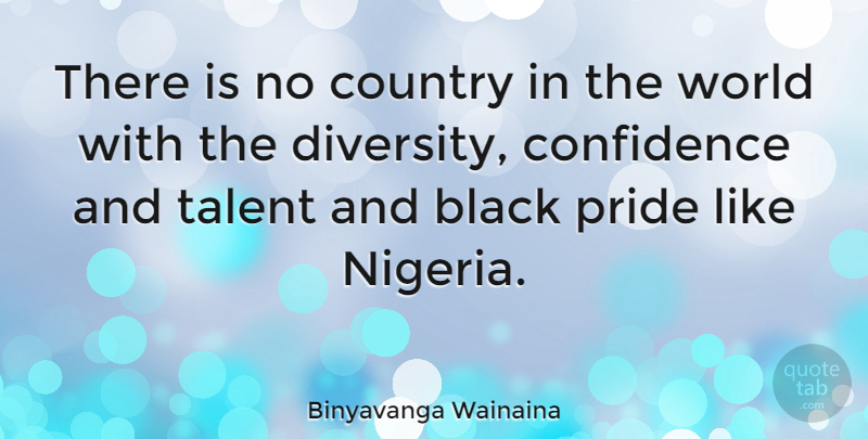 Binyavanga Wainaina Quote About Country, Pride, Diversity: There Is No Country In...