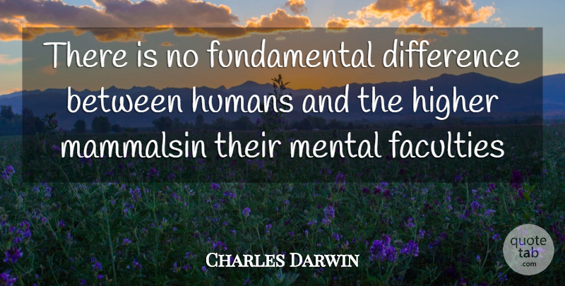 Charles Darwin Quote About Differences, Fundamentals, Faculty: There Is No Fundamental Difference...