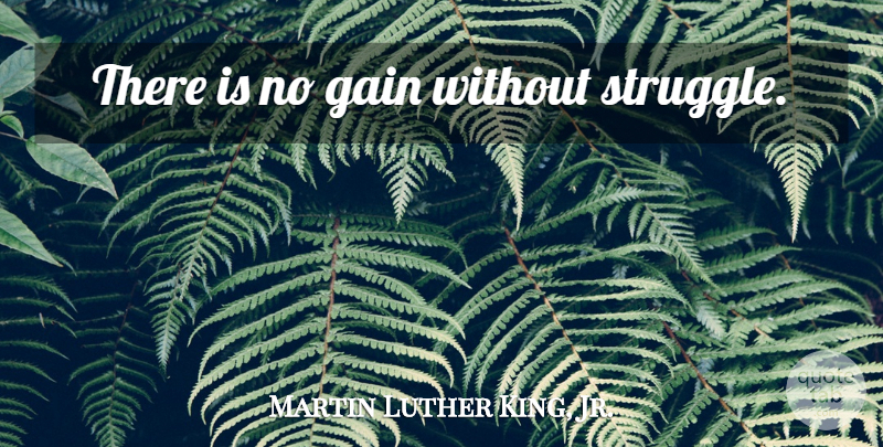 Martin Luther King, Jr. Quote About Inspirational, Struggle, Gains: There Is No Gain Without...