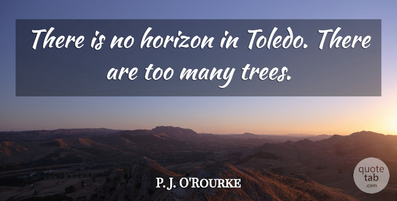 P. J. O'Rourke Quote About undefined: There Is No Horizon In...
