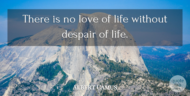Albert Camus Quote About Love Life, Despair, No Love: There Is No Love Of...