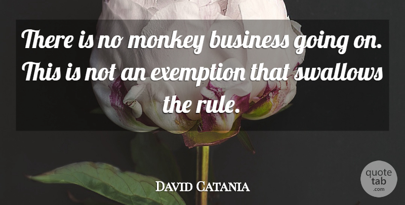 David Catania Quote About Business, Monkey: There Is No Monkey Business...
