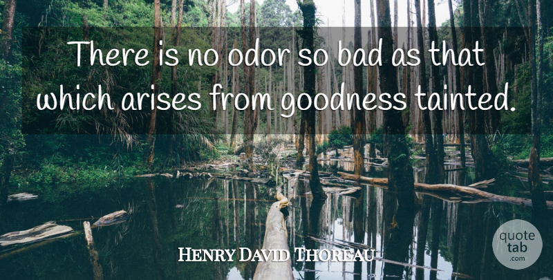 Henry David Thoreau Quote About Odor, Corruption, Goodness: There Is No Odor So...