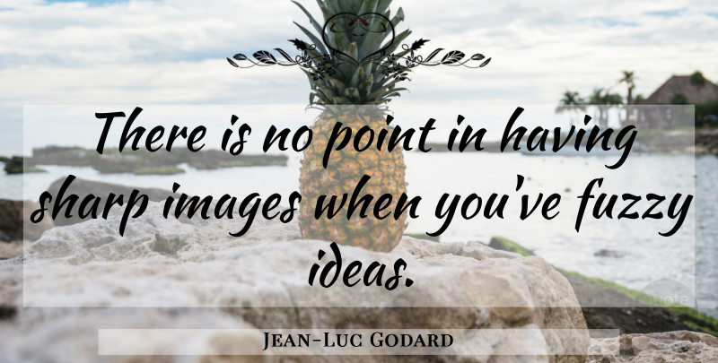 Jean-Luc Godard Quote About Ideas, Fuzzy, Directors: There Is No Point In...