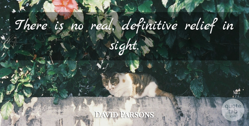 David Parsons Quote About Definitive, Relief: There Is No Real Definitive...