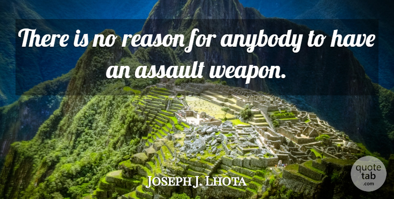 Joe Lhota Quote About Assault Weapons, Reason, Weapons: There Is No Reason For...