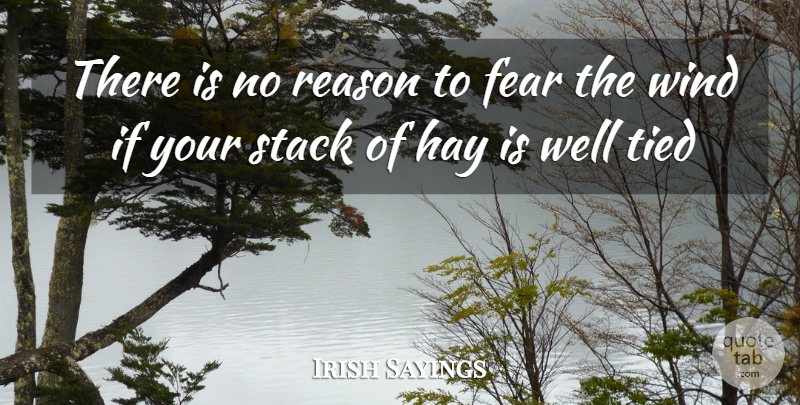 Irish Sayings Quote About Fear, Hay, Reason, Stack, Tied: There Is No Reason To...