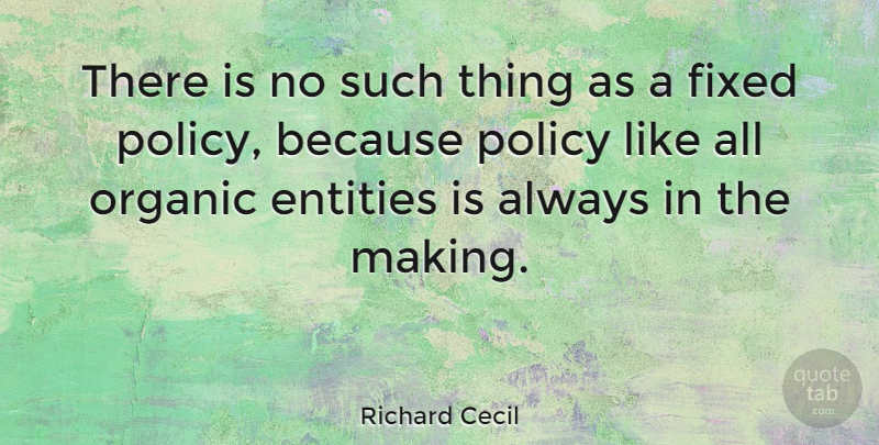 Richard Cecil Quote About Entity, Fixed, Policy: There Is No Such Thing...