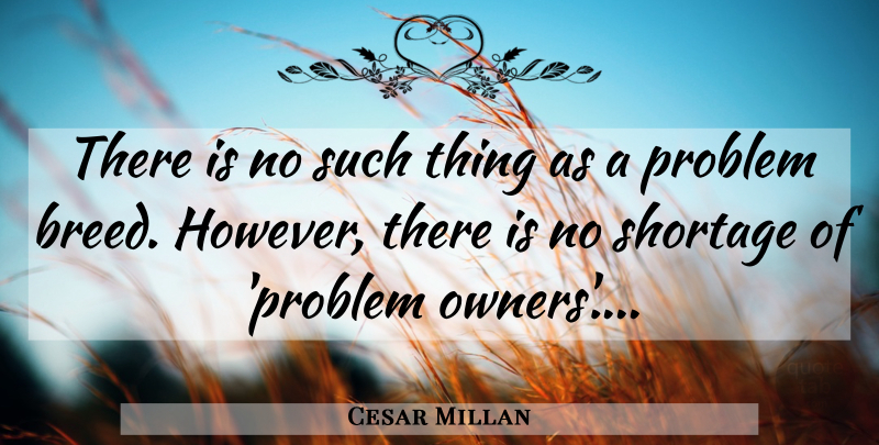 Cesar Millan Quote About Problem, Owners, Shortage: There Is No Such Thing...