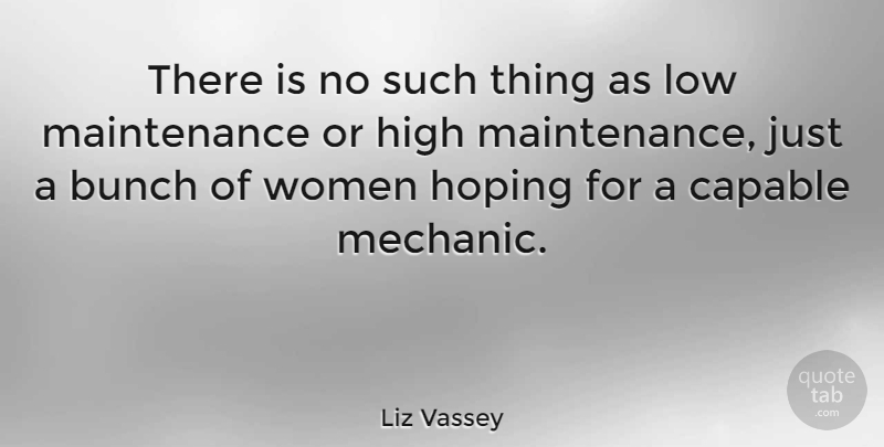 Liz Vassey Quote About Maintenance, Mechanic, Bunch: There Is No Such Thing...