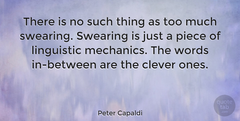 Peter Capaldi Quote About Clever, Pieces, Too Much: There Is No Such Thing...