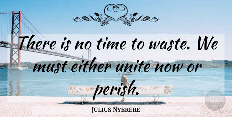 Julius Nyerere Quote About Waste, No Time To Waste: There Is No Time To...