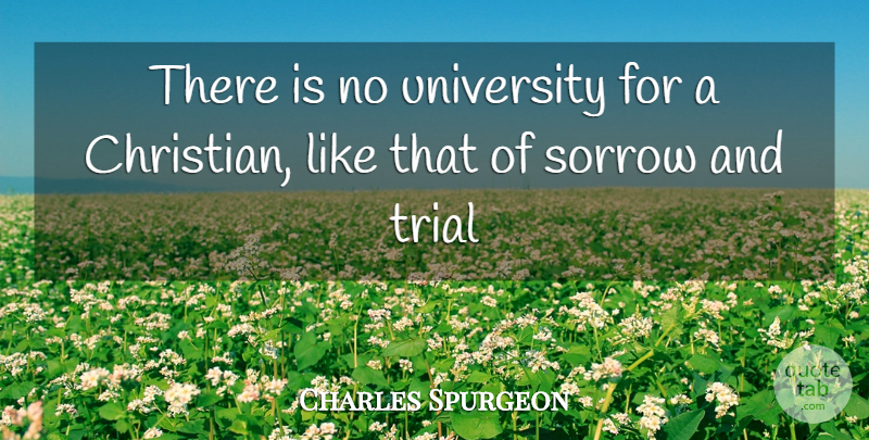 Charles Spurgeon Quote About Christian, Suffering, Sorrow: There Is No University For...