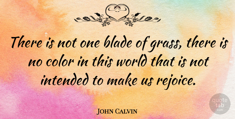 John Calvin Quote About Inspirational, Spiritual, Nature: There Is Not One Blade...