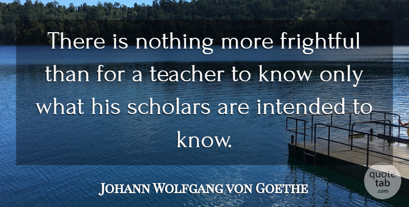 Johann Wolfgang von Goethe Quote About Teacher, Teaching, Scholar: There Is Nothing More Frightful...